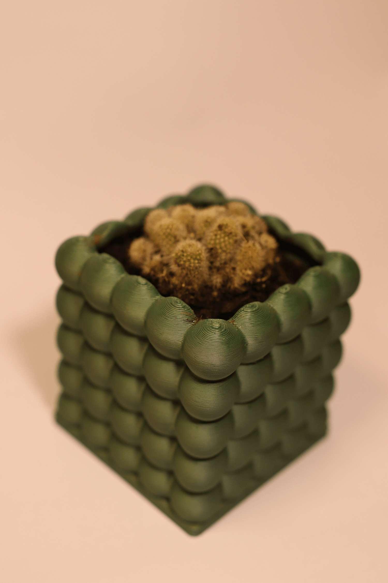 Maceta Bubble